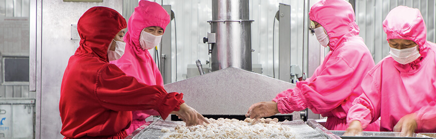 Koipay-�徲֧������