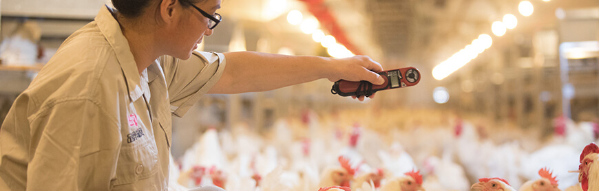 Koipay-�徲֧������