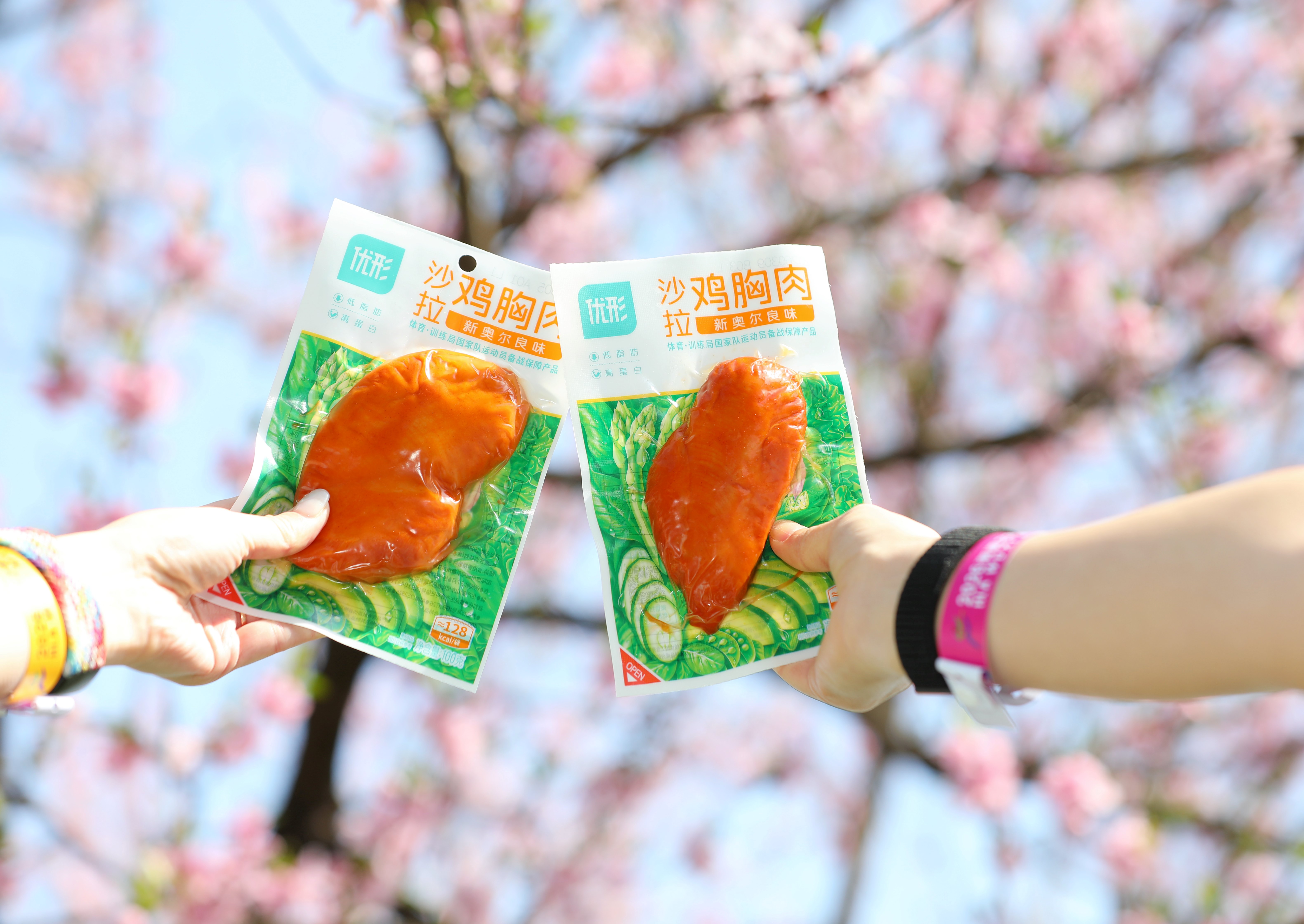 Koipay-�徲֧������