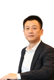 Koipay-�徲֧������