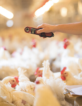 Koipay-�徲֧������