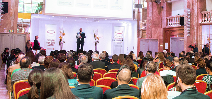 Koipay-�徲֧������