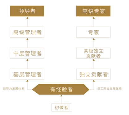 Koipay-�徲֧������