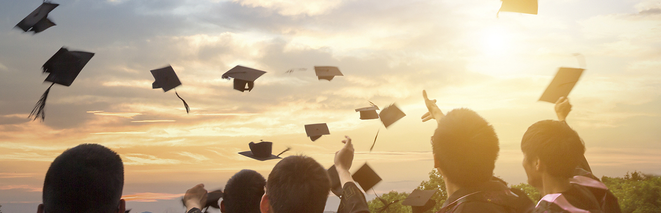 Koipay-�徲֧������