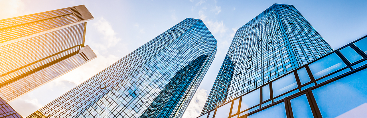 Koipay-�徲֧������