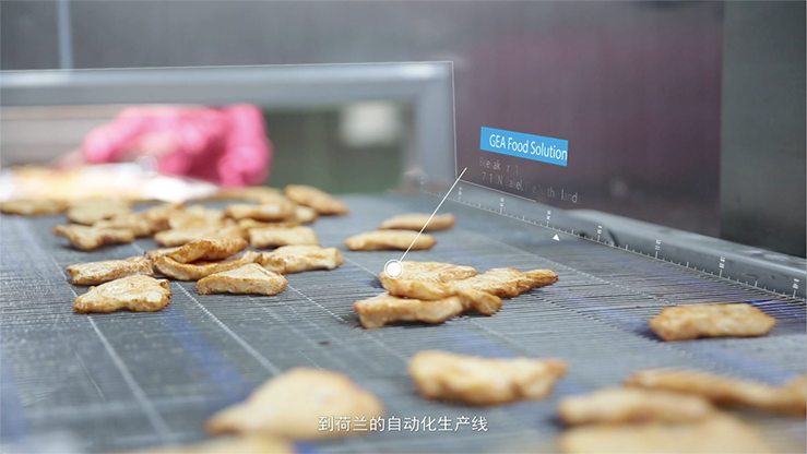 Koipay-�徲֧������