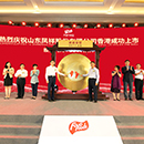 Koipay-�徲֧������