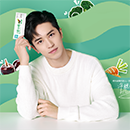 Koipay-�徲֧������