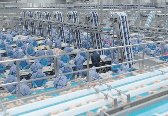 Koipay-�徲֧������