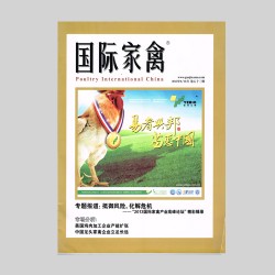 Koipay-�徲֧������