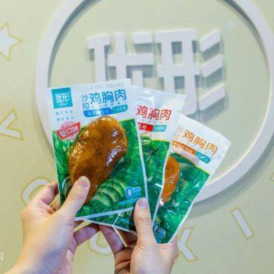 Koipay-�徲֧������