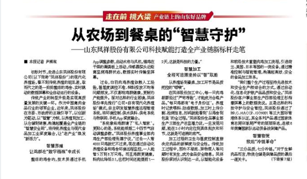 Koipay-�徲֧������