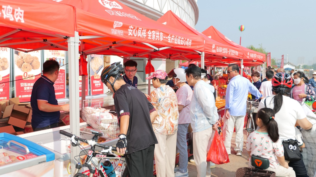 Koipay-�徲֧������