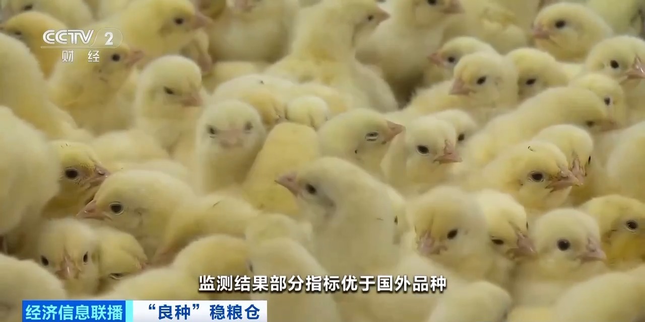 Koipay-清静支付工具