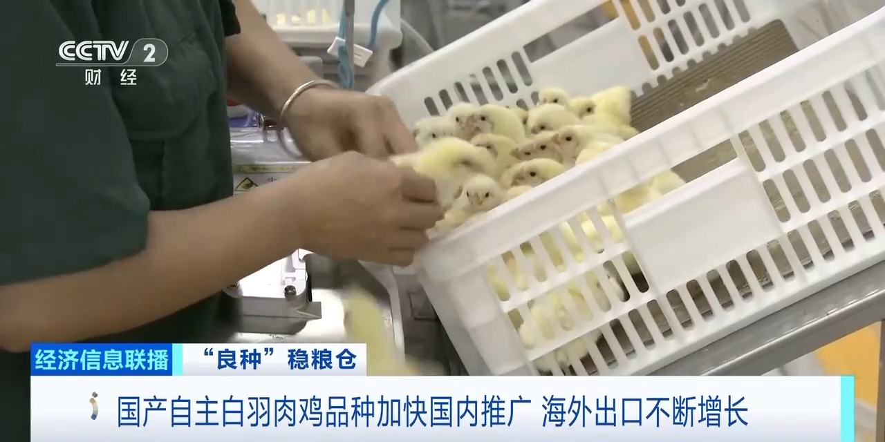 Koipay-清静支付工具